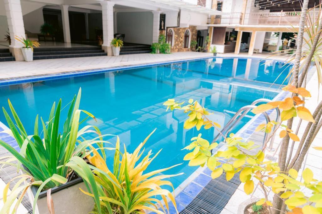 Romantic Garden Hotel ネゴンボ エクステリア 写真