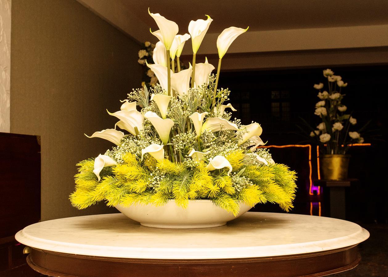 Romantic Garden Hotel ネゴンボ エクステリア 写真